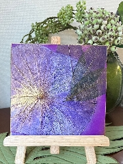 BOTANY　PAINTING（Workshop）